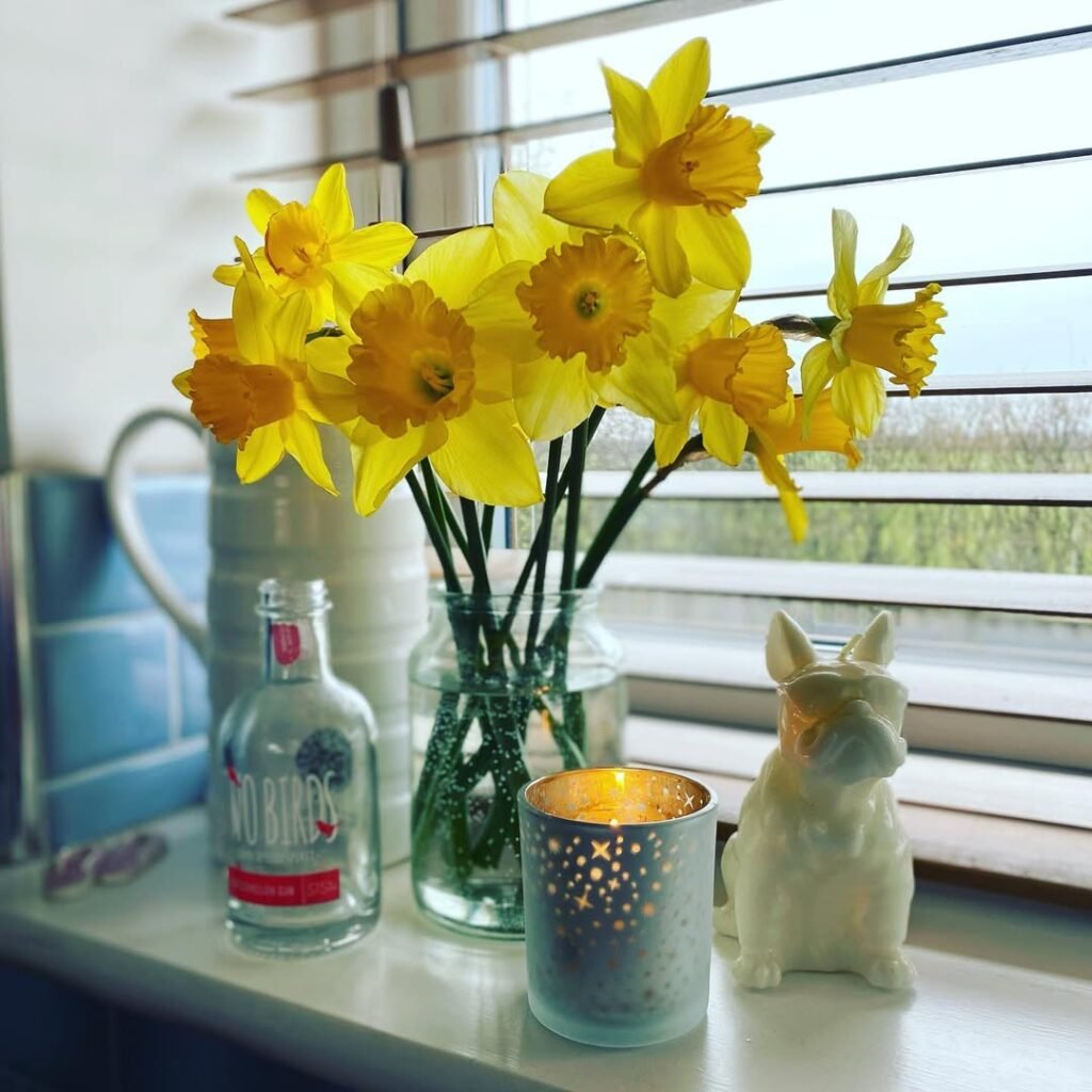 Daffodils & Candlelight
