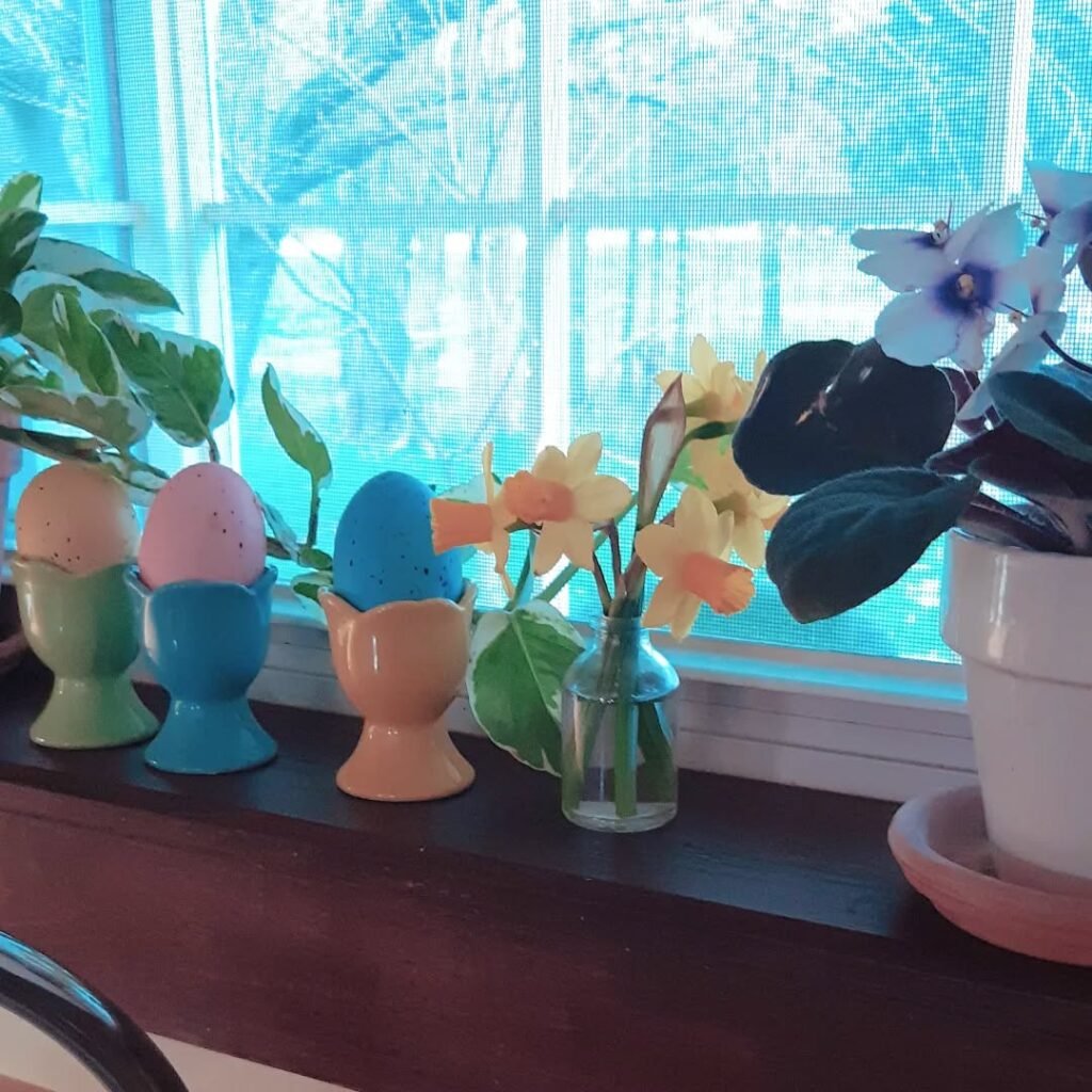Egg Cups & Daffodils